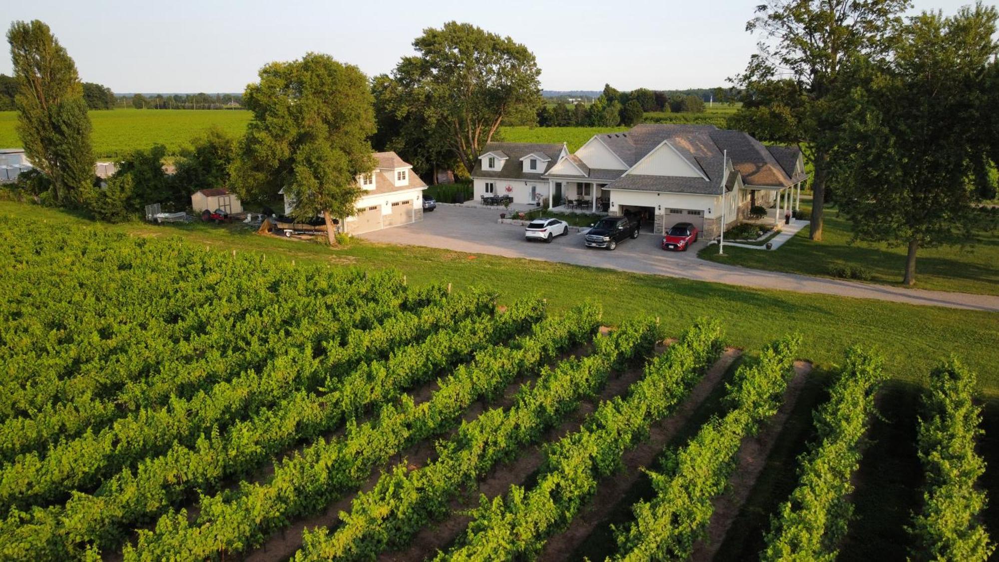 Villa In The Vines Niagara-on-the-Lake Zewnętrze zdjęcie